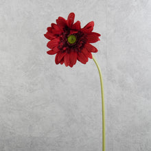 Load image into Gallery viewer, Gerbera Red 63cm
