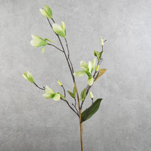 Load image into Gallery viewer, Magnolia Green 71cm
