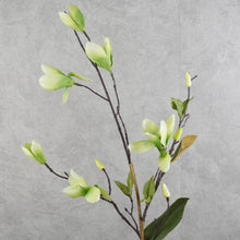 Load image into Gallery viewer, Magnolia Green 71cm
