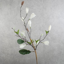 Load image into Gallery viewer, Magnolia White 71cm
