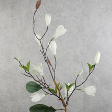 Load image into Gallery viewer, Magnolia White 71cm
