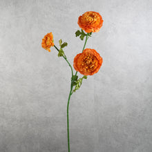 Load image into Gallery viewer, Ranunculus Orange 67cm
