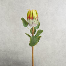 Load image into Gallery viewer, Protea Green 67cm
