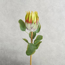 Load image into Gallery viewer, Protea Green 67cm
