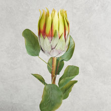 Load image into Gallery viewer, Protea Green 67cm
