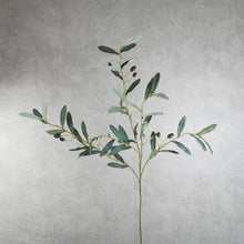 Load image into Gallery viewer, Olive Green 98cm
