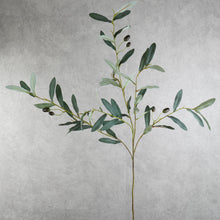 Load image into Gallery viewer, Olive Green 98cm

