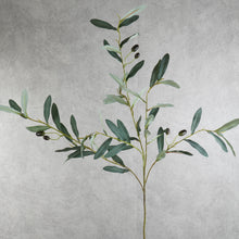 Load image into Gallery viewer, Olive Green 98cm
