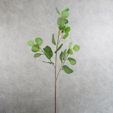 Load image into Gallery viewer, Eucalyptus Green 74cm
