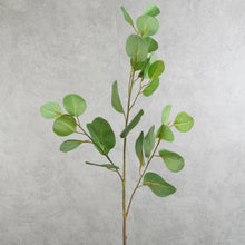 Load image into Gallery viewer, Eucalyptus Green 74cm
