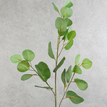 Load image into Gallery viewer, Eucalyptus Green 74cm
