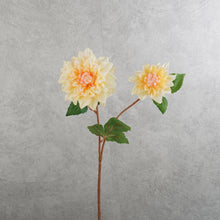 Load image into Gallery viewer, Dahlia Yellow 60cm
