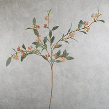 Load image into Gallery viewer, Berry Spary Blush 97cm
