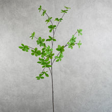 Load image into Gallery viewer, Greennery 88cm
