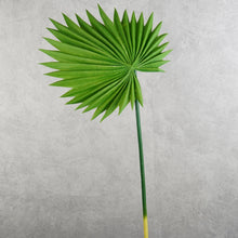 Load image into Gallery viewer, Palm Green 73cm
