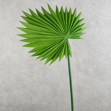 Load image into Gallery viewer, Palm Green 73cm
