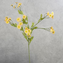 Load image into Gallery viewer, Cosmos 6 Heads Yellow 58cm
