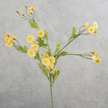 Load image into Gallery viewer, Cosmos 6 Heads Yellow 58cm
