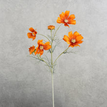 Load image into Gallery viewer, Cosmos 6 Heads Orange 58cm
