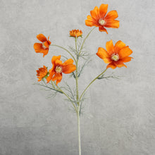 Load image into Gallery viewer, Cosmos 6 Heads Orange 58cm
