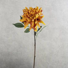 Load image into Gallery viewer, Dahlia Orange 72cm
