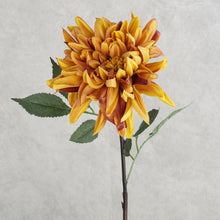 Load image into Gallery viewer, Dahlia Orange 72cm
