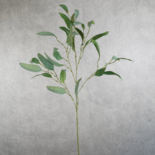 Load image into Gallery viewer, Eucalyptus Green 84cm
