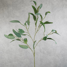 Load image into Gallery viewer, Eucalyptus Green 84cm
