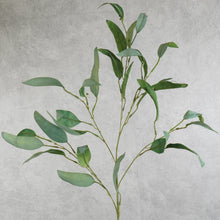 Load image into Gallery viewer, Eucalyptus Green 84cm
