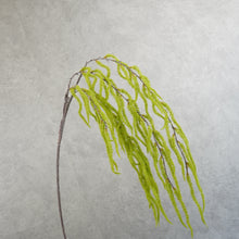 Load image into Gallery viewer, Amaranth Green 108cm

