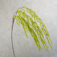 Load image into Gallery viewer, Amaranth Green 108cm
