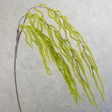 Load image into Gallery viewer, Amaranth Green 108cm
