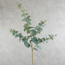 Load image into Gallery viewer, Eucalyptus Grey Green 98cm
