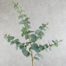 Load image into Gallery viewer, Eucalyptus Grey Green 98cm
