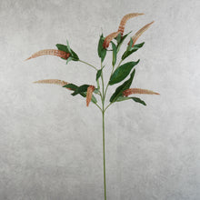 Load image into Gallery viewer, Skyler Brown 84cm

