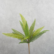 Load image into Gallery viewer, Fern Green 46cm
