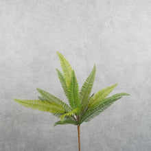 Load image into Gallery viewer, Fern Green 46cm
