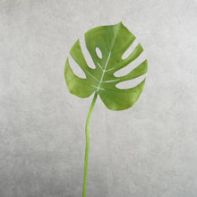 Load image into Gallery viewer, Monstera Green 67cm

