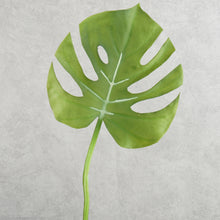Load image into Gallery viewer, Monstera Green 67cm
