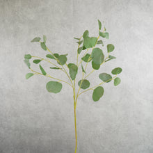 Load image into Gallery viewer, Eucalyptus Green 78cm
