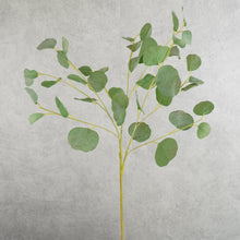 Load image into Gallery viewer, Eucalyptus Green 78cm
