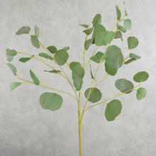 Load image into Gallery viewer, Eucalyptus Green 78cm
