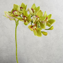 Load image into Gallery viewer, Orchid Cymbidium 10 Heads Green 78cm
