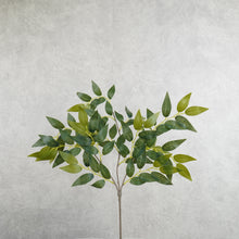 Load image into Gallery viewer, Greenery 47cm
