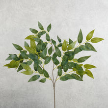 Load image into Gallery viewer, Greenery 47cm
