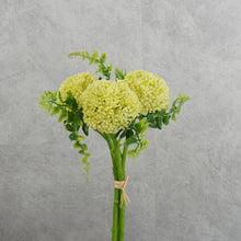 Load image into Gallery viewer, Mini Fruit Light Green 28cm
