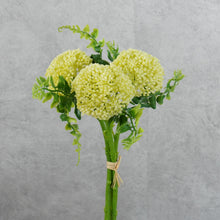 Load image into Gallery viewer, Mini Fruit Light Green 28cm

