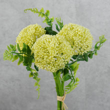 Load image into Gallery viewer, Mini Fruit Light Green 28cm
