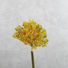Load image into Gallery viewer, Aglaia Short Bunch Orange 28cm
