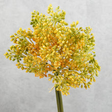 Load image into Gallery viewer, Aglaia Short Bunch Orange 28cm
